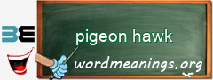 WordMeaning blackboard for pigeon hawk